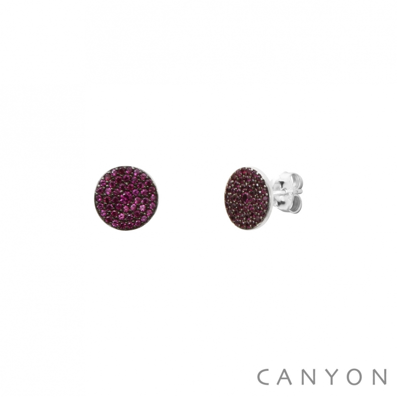 Boucles d'oreilles Shiny