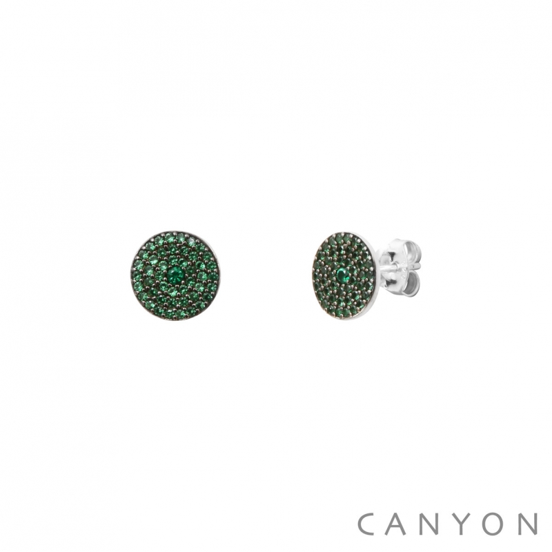 Boucles d'oreilles Shiny