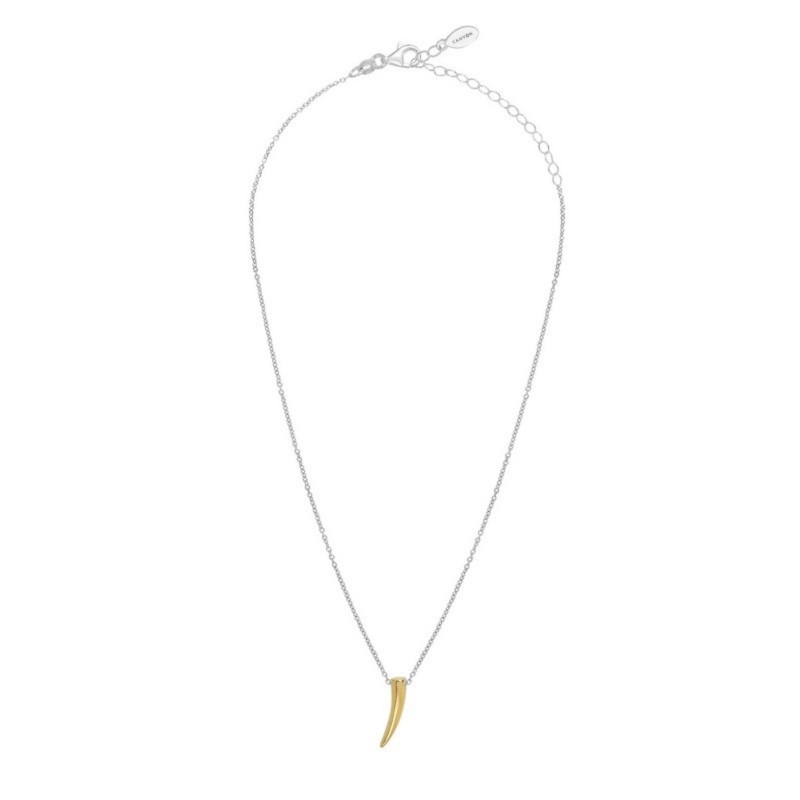 Collier Corne